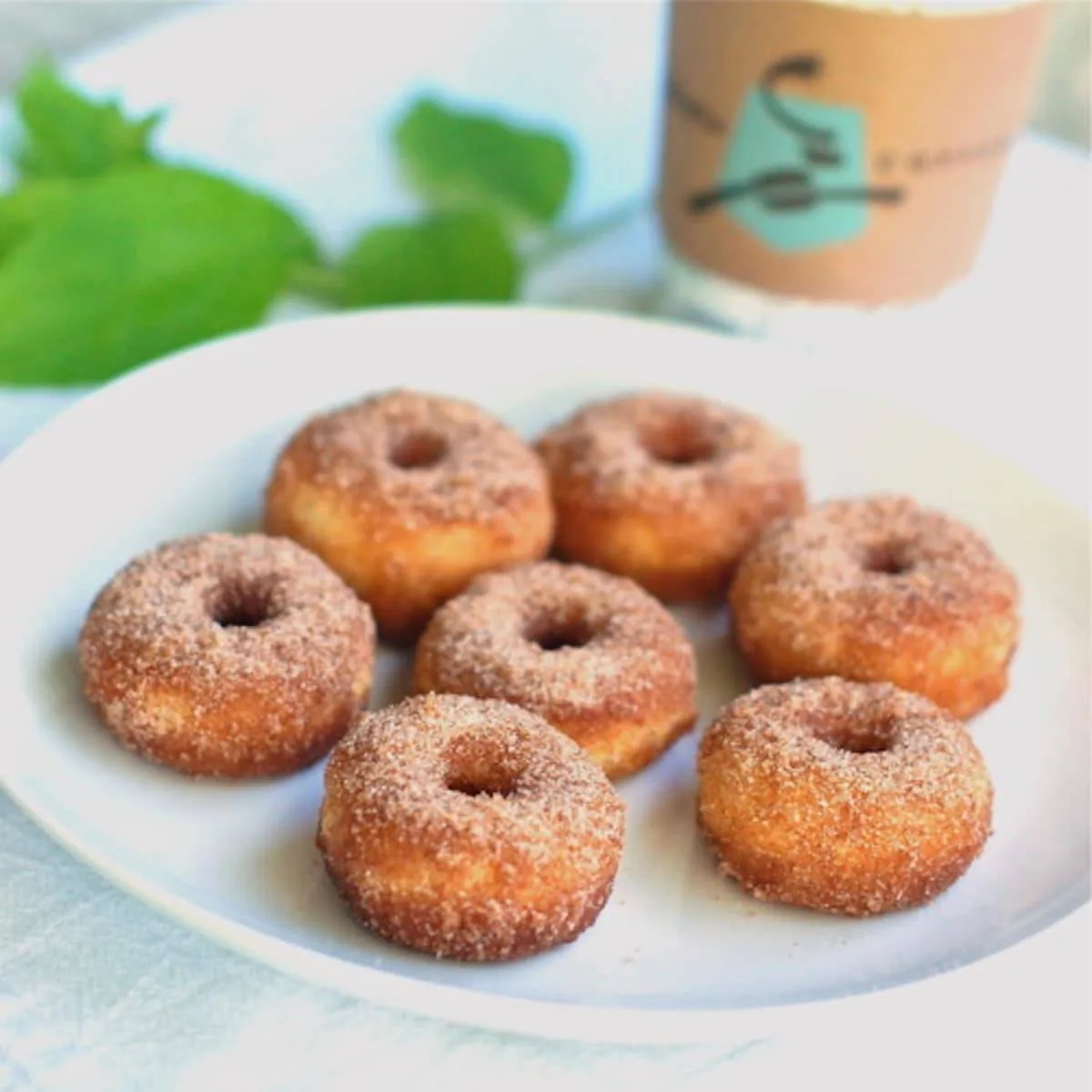 Mini Doughnut (Plain Sugar)